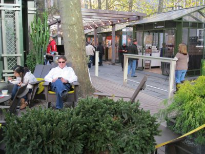 Evergreens, including cactuses and needle-leaved plants, provide a touch of green during the Bryant Park's annual transformation to Winter Village.