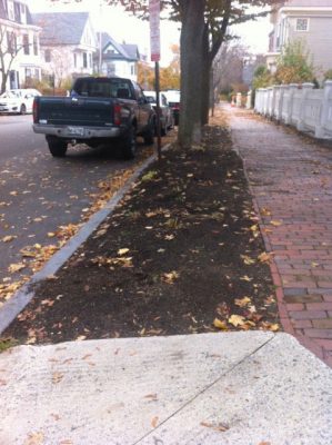 Portland has plenty of opportunities to remove some paving and create bioswale plantings to absorb rainwater, control flooding, and filter pollutants before they wash into our coastal waters.