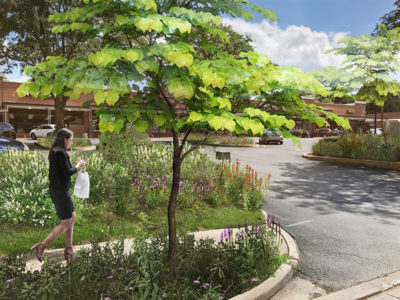 Native grasses, wildflowers, shrubs and trees absorb rainwater and provide pollinator habitat while making a strip mall parking lot a more pleasant place to be.