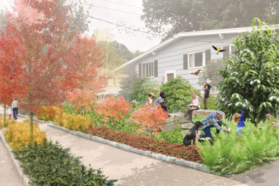 A suburban residence envisioned as a productive and edible landscape using native plants