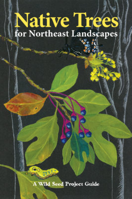 Cover image of Wild Seed Project's Native Trees for Northeast Landscapes