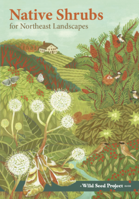 A full color illustrated cover of Native Shrubs for Northeast Landscapes including button bush and staghorn sumac with a rolling farm field in the background